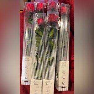 Verdissimo Preserved Red Roses